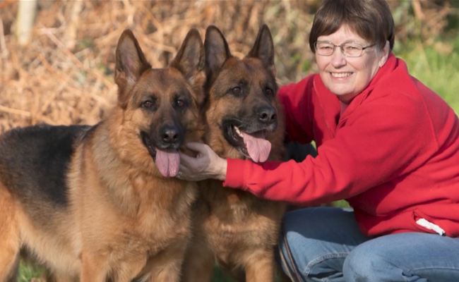 Dog Lover Says Her Two German Shepherds Detected Her Breast Cancer