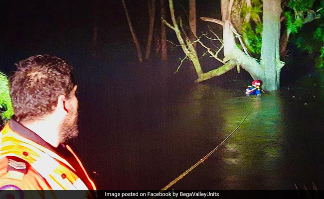 Australian Rescued After 10 Hours Of Clinging To Tree
