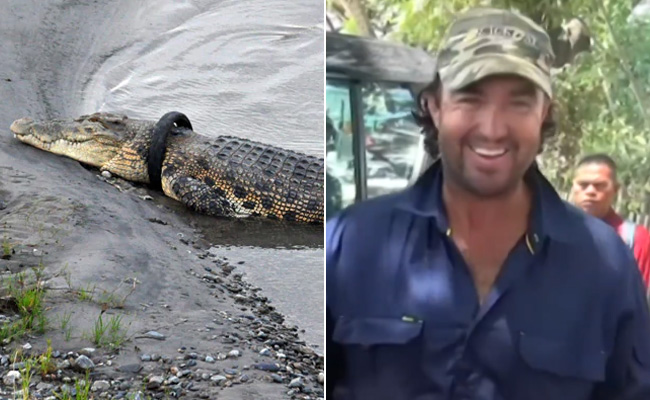 Aussie Croc Wrangler Joins Bid To Save Tyre-Tied Reptile In Indonesia