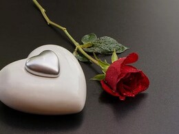 Valentine Week: रोज डे के साथ प्यार के इजहार का सप्ताह हो रहा शुरू, जानें वैलेंटाइन वीक के सभी दिनों के बारे में Valentine Week: रोज डे के साथ प्यार के इजहार का सप्ताह हो रहा शुरू, जानें वैलेंटाइन वीक के सभी दिनों के बारे में