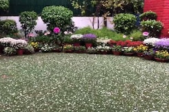 Watch: Massive Hail Stones Showered Down In Delhi Today Watch: Massive Hail Stones Showered Down In Delhi Today