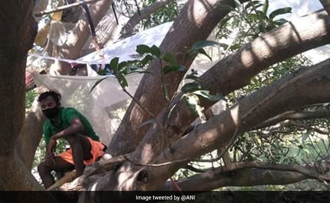 7 Bengal Labourers Quarantined On Tree After Return From Chennai