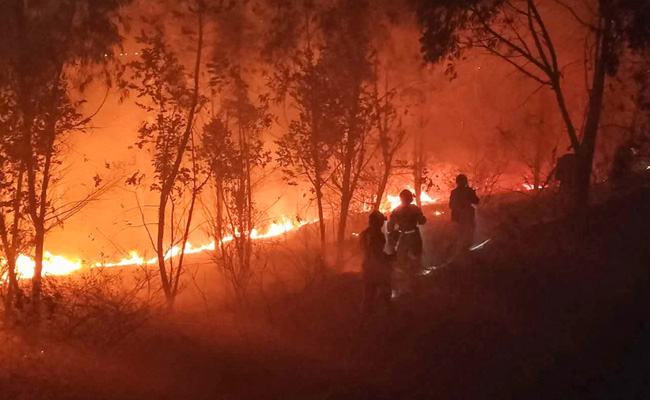 19 Killed In Massive China Forest Fire
