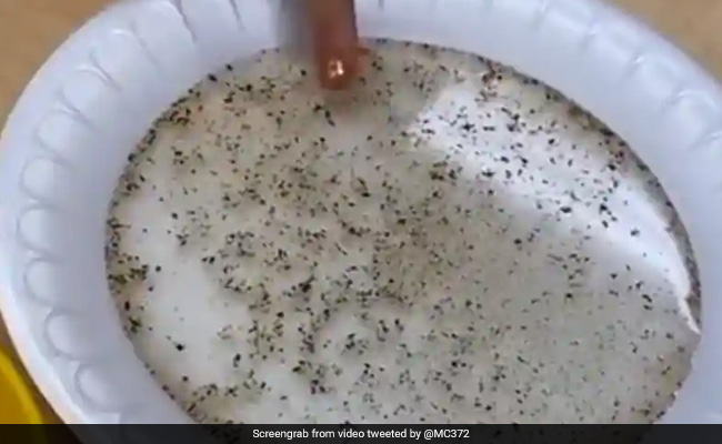 Coronavirus: हाथ धोना है जरूरी बताने के लिए टीचर ने काली मिर्च और साबुन से किया कुछ ऐसा, देखें Viral Video