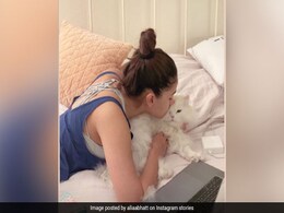 Alia Bhatt's Pic With "Mr Sulky" Edward Is Just Too Cute Alia Bhatt's Pic With "Mr Sulky" Edward Is Just Too Cute