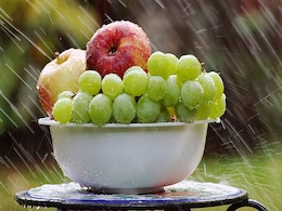 Fruit For Cholesterol Patients: गर्मियों के 5 फल जिनसे बिगड़ते कोलेस्ट्रॉल पर पा सकते हैं काबू, जानें और क्या करते हैं कमाल Fruit For Cholesterol Patients: गर्मियों के 5 फल जिनसे बिगड़ते कोलेस्ट्रॉल पर पा सकते हैं काबू, जानें और क्या करते हैं कमाल
