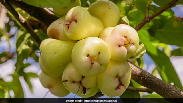 White jamun can help you ensure better digestion