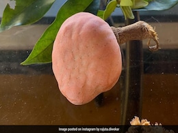 Ramphal Benefits: रामफल खाने से कंट्रोल होगा डायबिटीज, हाई ब्लड शुगर लेवल के लिए भी फायदेमंद, जानें रोजाना रामफल खाने के 4 कारण! Ramphal Benefits: रामफल खाने से कंट्रोल होगा डायबिटीज, हाई ब्लड शुगर लेवल के लिए भी फायदेमंद, जानें रोजाना रामफल खाने के 4 कारण!
