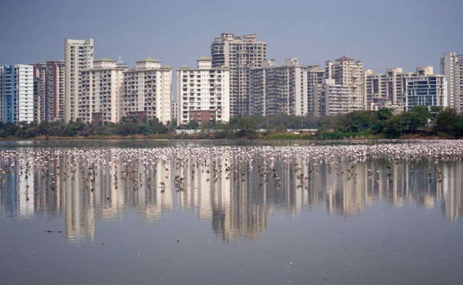 Top Indian Cities See A "Massive Drop" In Housing Sales: Property Consultant