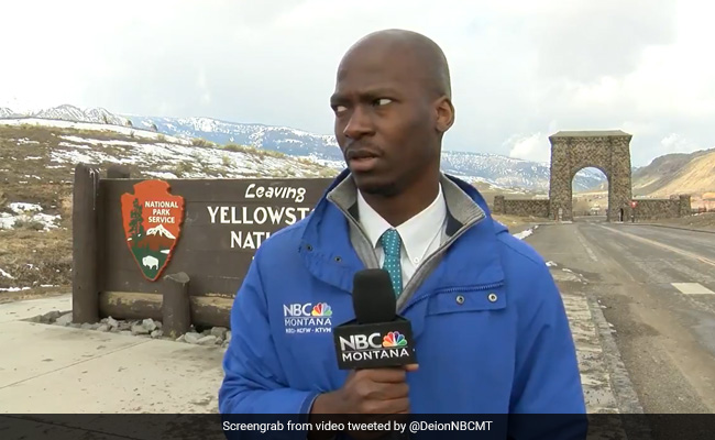 Viral Video Of Reporter Fleeing Bison Herd Inspires Funniest Memes