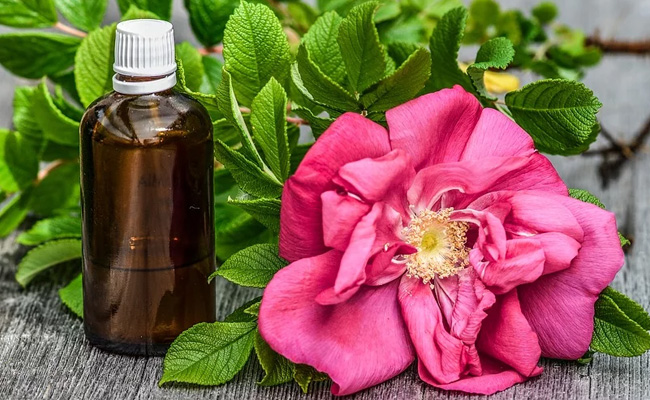 Whatever Be Your Skin Problem, These 8 Body Oils Will Treat Them All