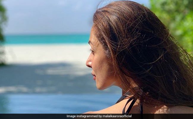 मलाइका अरोड़ा ने शेयर की पूल Photo, तो फैशन डिजाइनर बोले- अरे, आगे देखो पानी में गिर जाओगी...