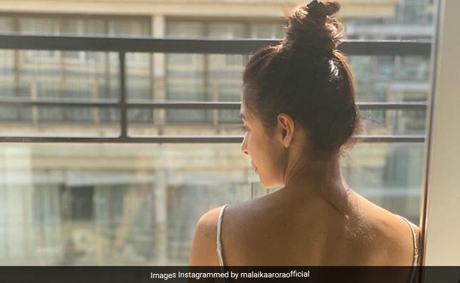 Malaika Arora ने कैस्पर के साथ शेयर की फोटो, लिखा- लव इन टाइम ऑफ कोरोना...