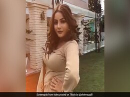 TikTok Viral Video: टिकटॉक पर छाया शहनाज गिल का जादू, देखें पंजाब की कैटरीना कैफ के 5 धमाकेदार Video TikTok Viral Video: टिकटॉक पर छाया शहनाज गिल का जादू, देखें पंजाब की कैटरीना कैफ के 5 धमाकेदार Video