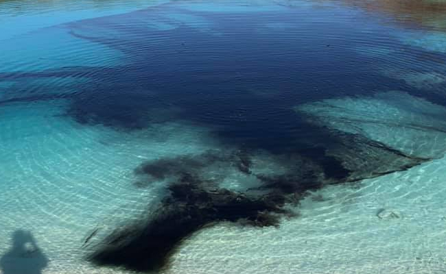 Why Police Dyed Water At This Popular Tourist Spot Black