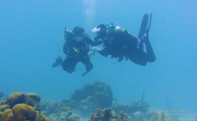 Watch: Man Hides Ring In Shell, Stuns Girlfriend With Underwater Proposal