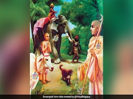 Amalaki Ekadashi 2020: आज है आमलकी एकादशी, जानिए शुभ मुहूर्त, पूजा विधि, व्रत कथा और महत्व Amalaki Ekadashi 2020: आज है आमलकी एकादशी, जानिए शुभ मुहूर्त, पूजा विधि, व्रत कथा और महत्व