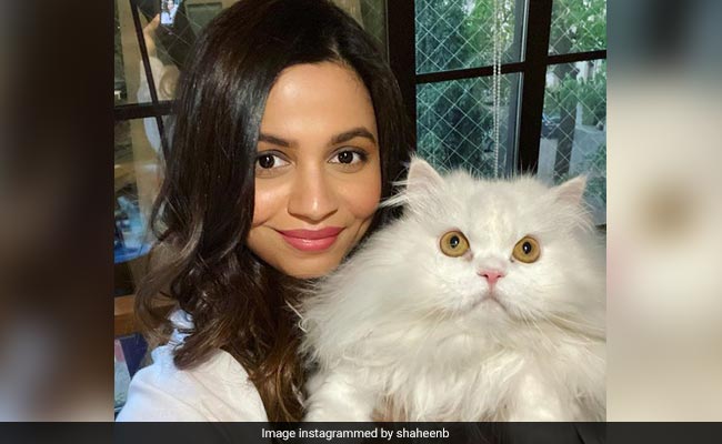 Alia Bhatt's Sister Shaheen's "Twinning" Attempt With Pet Cat Edward Turned Out To Be This