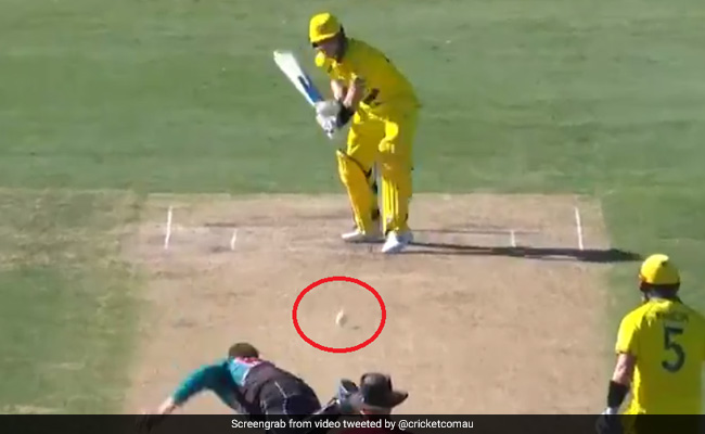 AUS vs NZ: स्टीव स्मिथ ने अजीबोगरीब तरह से जड़ा छक्का, देखता रह गया गेंदबाज... देखें पूरा Video