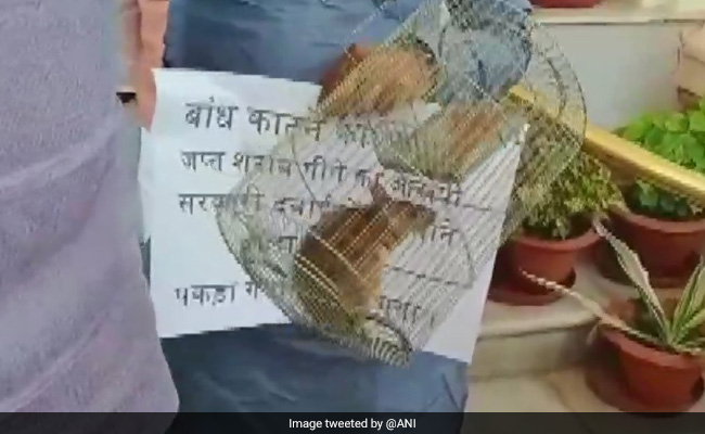 बिहार विधानसभा में राबड़ी देवी के साथ RJD विधायक चूहा लेकर पहुंचे, कहा- सजा देने के लिए लाए हैं