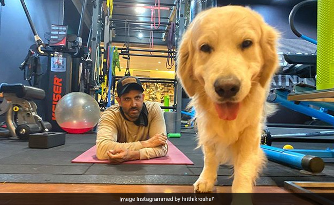 This Cutie-Pie Who Stole The Show In Hrithik Roshan's "Stay At Home" Post