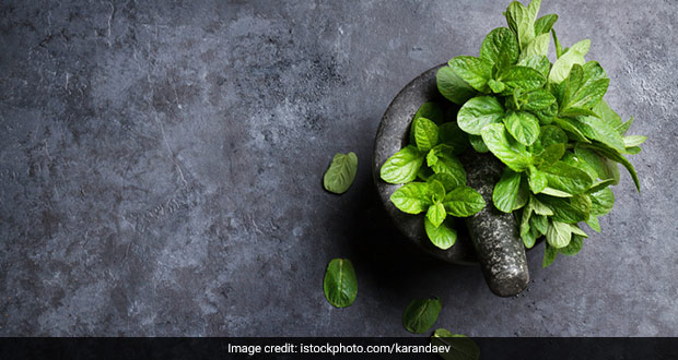 Home Remedy For Immunity: How To Make Mint Water For Healthy Weight Loss And Good Immunity