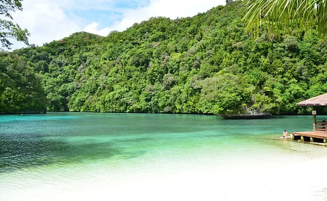 "Tension, Anxiety": Remote Coronavirus-Free World Braces For Impact