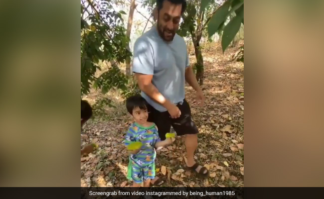 What's Keeping Salman Khan And His Nephew Ahil Busy These Days