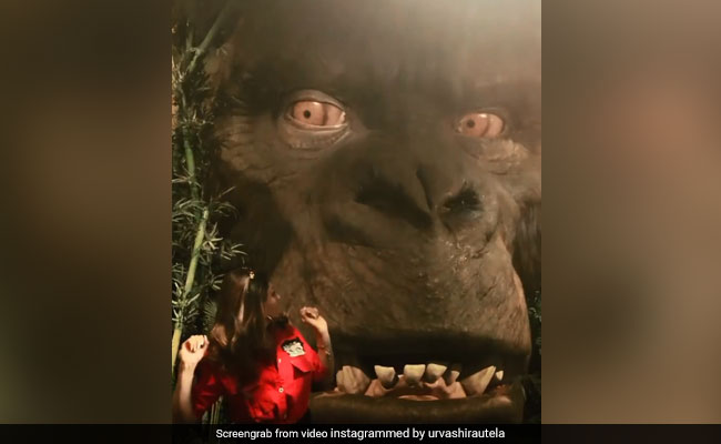 किंग कांग को छूने की कोशिश कर रहीं थीं उर्वशी रौतेला, तभी दिखाई आंख, दौड़कर भागी एक्ट्रेस... देखें Video