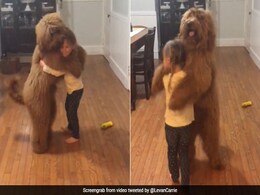 कुत्ते को दो टांग पर खड़ा करके बच्ची ने किया ऐसा जबरदस्त डांस, वायरल हुआ Video कुत्ते को दो टांग पर खड़ा करके बच्ची ने किया ऐसा जबरदस्त डांस, वायरल हुआ Video