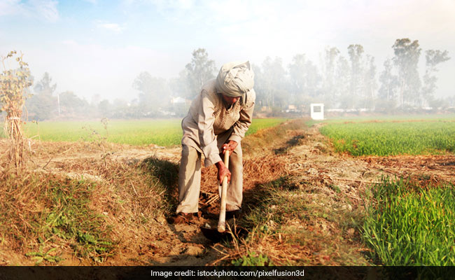 Rajasthan Farmer Kills Self After Hail Damaged Standing Crops: Police