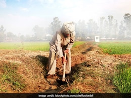 बजट से देश के किसानों को काफी उम्मीदें, MSP से लेकर किसान सम्मान निधि की राशि बढ़ाने की जरूरत: कृषि एक्सपर्ट