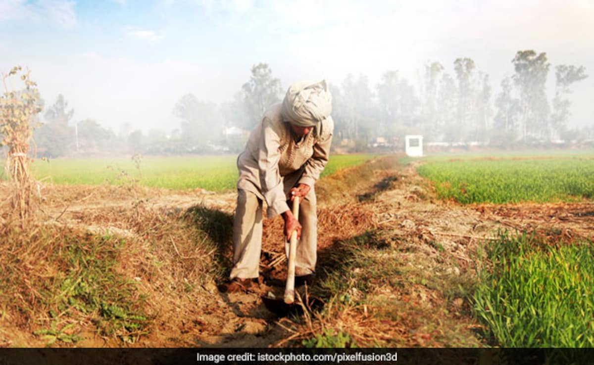 2,800 Karnataka Farmer Suicides In 3 Years, State Says 'Schemes Not Failed'