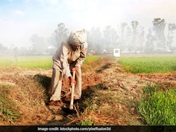 2,800 Karnataka Farmer Suicides In 3 Years, State Says 'Schemes Not Failed'