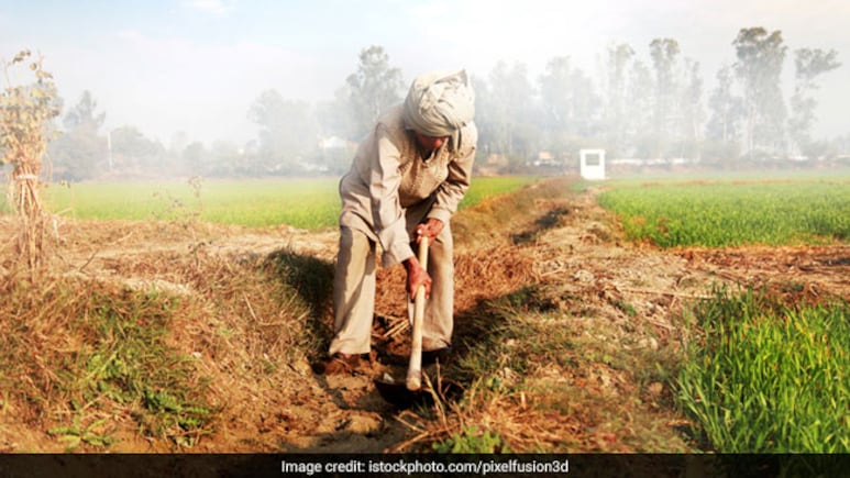 2,800 Karnataka Farmer Suicides In 3 Years, State Says 'Schemes Not Failed'