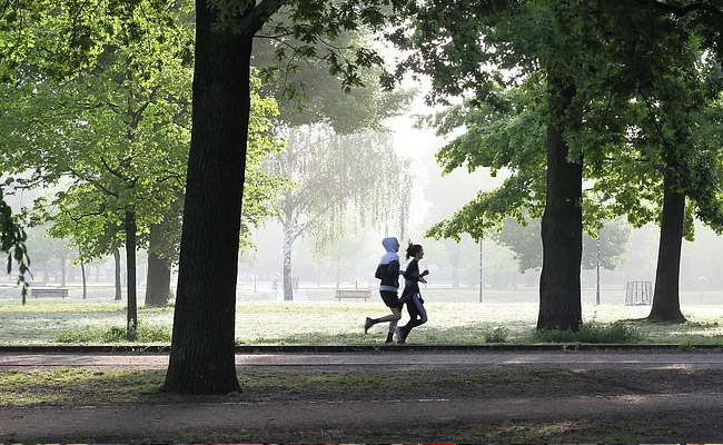 No More Morning Walks, Delhi Police Says Action Will Be Taken