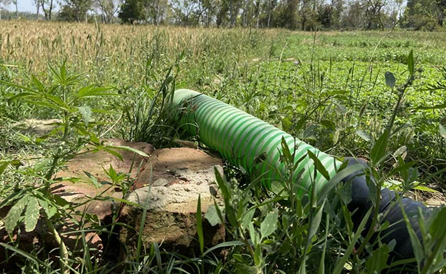 "What Can We Do?": UP Villagers Worry Over Coronavirus Lockdown