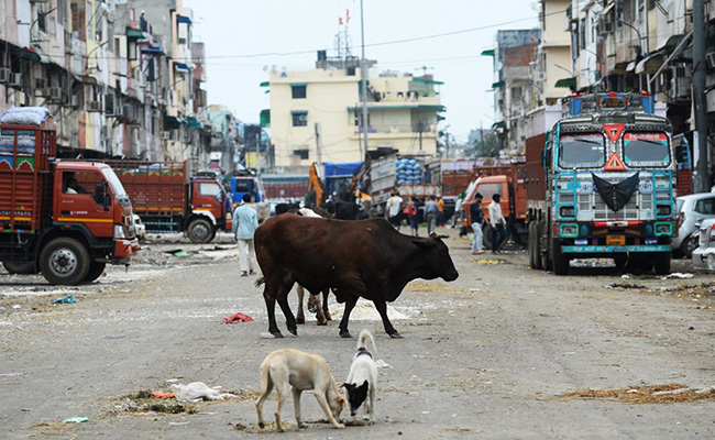 Delhi Traders Use Bullock Carts To Supply Essential Items Amid Lockdown