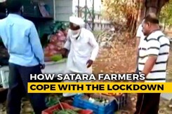 In Lockdown, Satara Farmers' Revolutionary New Model In Lockdown, Satara Farmers' Revolutionary New Model