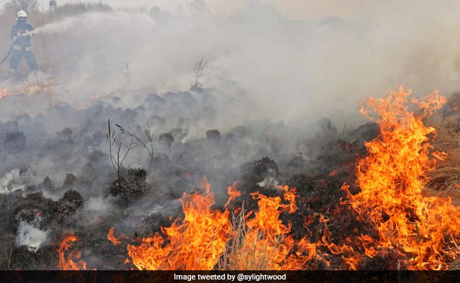 Massive Fire Destroys 6,000 Hectares Of Poland's Largest Nature Reserve