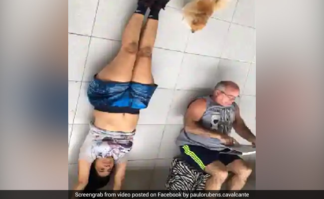 महिला कर रही थी हैंडस्टैंड करने की कोशिश और तभी बीच में आ गया कुत्ता और फिर... देखें मजेदार Video