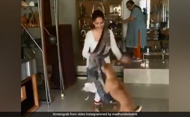 पैरों में घुंघरू बांध अपने डॉगी संग थिरकती नजर आईं माधुरी दीक्षित, इंटरनेट पर वायरल हो रहा है जबरदस्त Video
