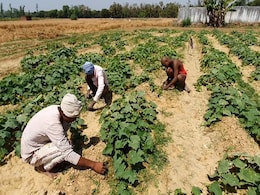 "Not Only Violated Code...": Poll Panel Asks Telangana To Pause Farmers' Aid "Not Only Violated Code...": Poll Panel Asks Telangana To Pause Farmers' Aid