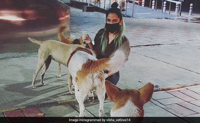 Meet The Delhi Student Feeding Stray Dogs During Coronavirus Lockdown