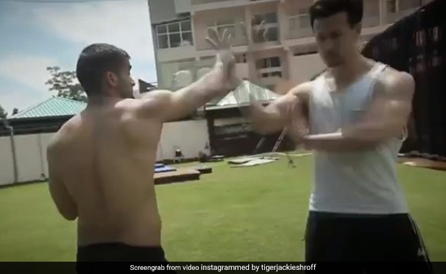बौखलाए शख्स ने लॉकडाउन में टाइगर श्रॉफ पर किया अटैक, फिर एक्टर ने यूं दिया करारा जवाब- देखें Video