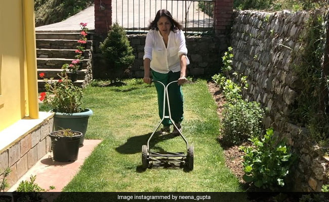 पहाड़ों पर बने अपने घर में इस तरह रह रही हैं नीना गुप्‍ता, काट रही हैं घास, देखें Video