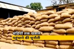 उत्तर प्रदेश में गेंहू की सरकारी खरीद शुरू,किसानों को अच्छी कीमत मिलने की चिंता उत्तर प्रदेश में गेंहू की सरकारी खरीद शुरू,किसानों को अच्छी कीमत मिलने की चिंता