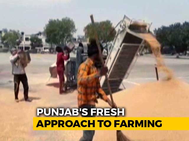 New System For Punjab Farmers To Sell Wheat, Avoid Crowding Amid Lockdown