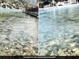 लॉकडाउन में गंगा का पानी हुआ इतना साफ कि दिखने लगी नीचे की जमीन, लोग बोले- 'अब धुलेंगे पाप...' देखें Viral Video लॉकडाउन में गंगा का पानी हुआ इतना साफ कि दिखने लगी नीचे की जमीन, लोग बोले- 'अब धुलेंगे पाप...' देखें Viral Video