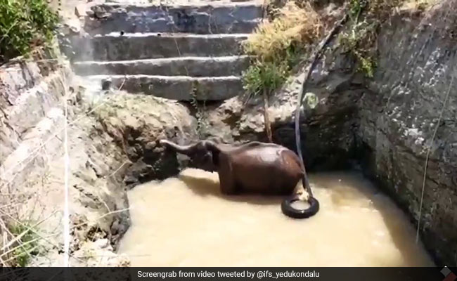 Watch How This Elephant Was Rescued From A Deep Well In Karnataka